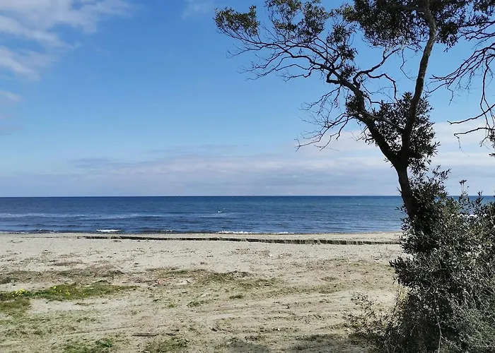 Lejlighed Marina Di Bravone - Corse -