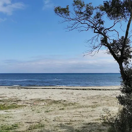 Apartment Marina Di Bravone - Corse -
