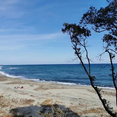 Apartment Marina Di Bravone - Corse - *