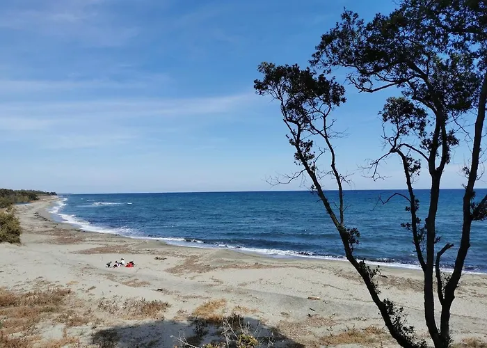 Appartement Marina Di Bravone - Corse - *